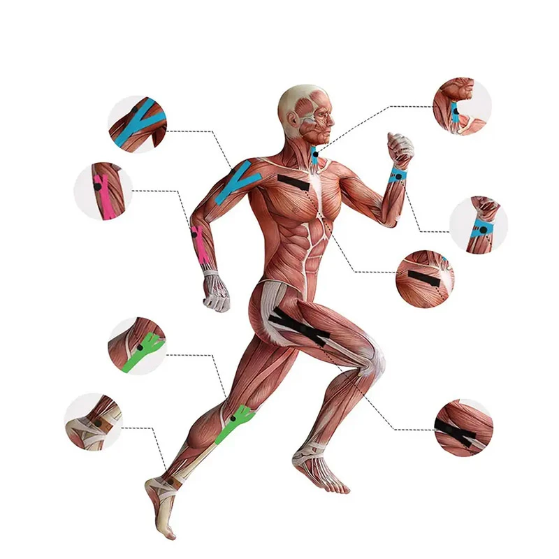 kinesiology therapeutic tape on the skin, muscles, neurons, and other parts of the body kinesiology therapeutic tape on the skin, muscles, neurons, and other parts of the body